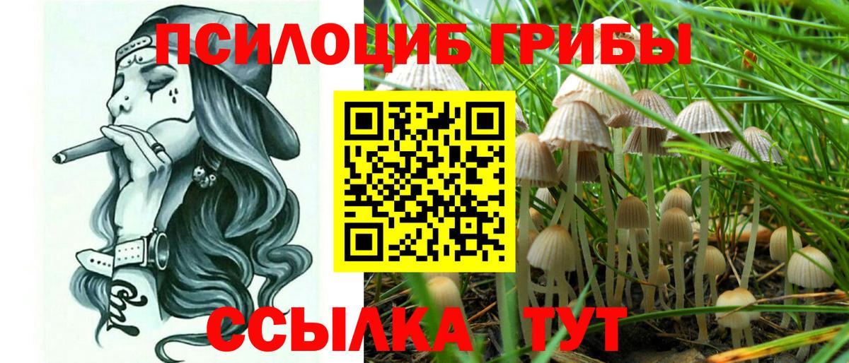 Галлюциногенные грибы мицелий Вышний Волочёк