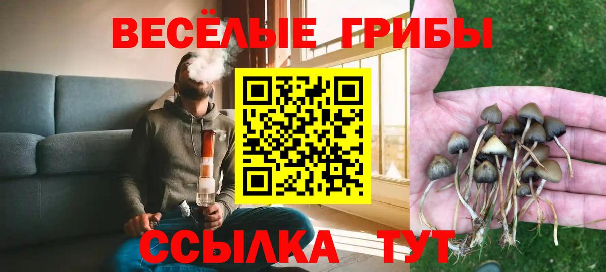 Вышний Волочёк  Галлюциногенные грибы Magic Shrooms  Вход с VPN 